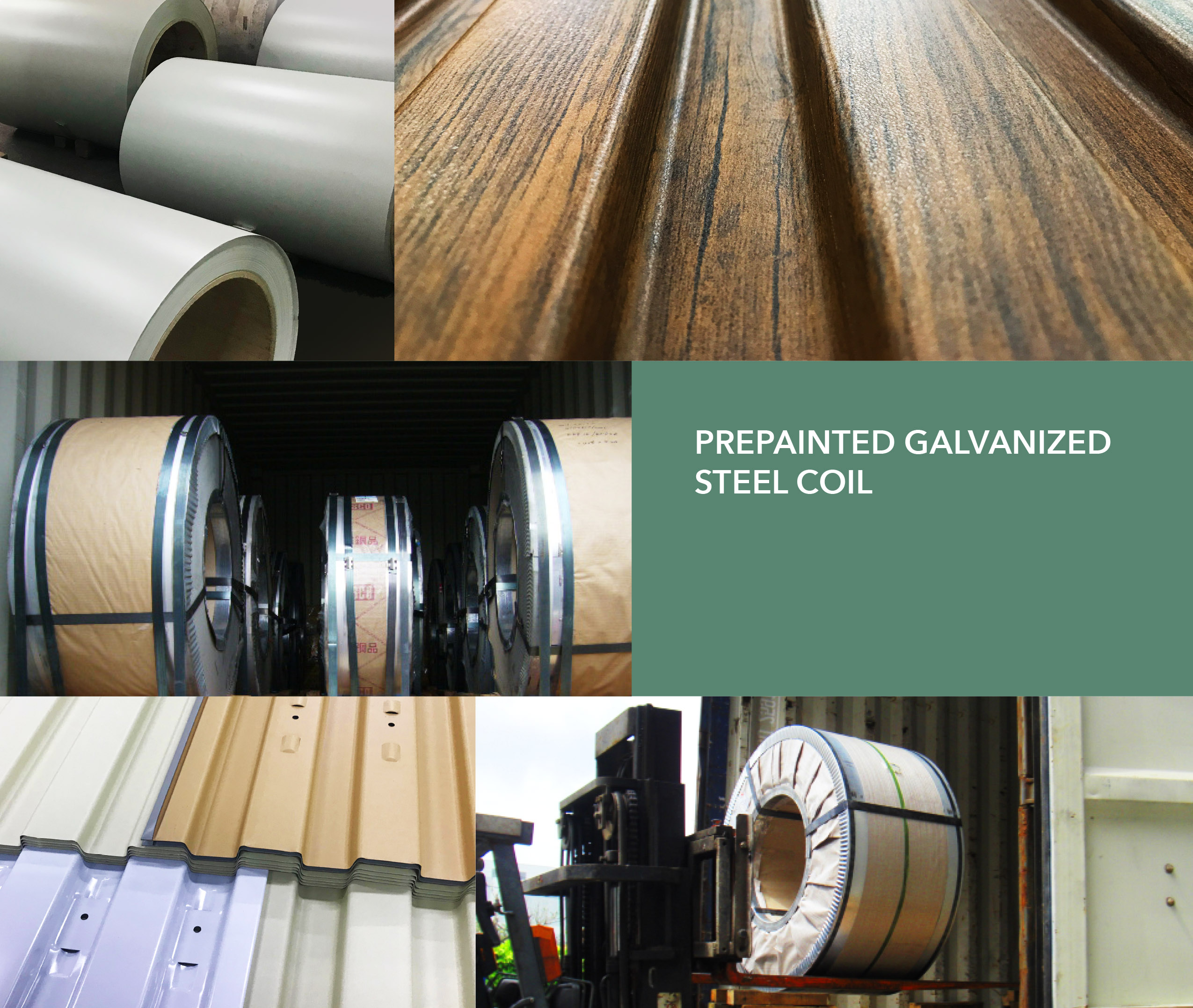 prepainted galvanized steel sheet in coil rolling sheet door